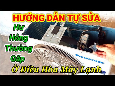 Video: DNA bị hư hỏng được sửa chữa như thế nào?