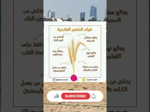 فوائد الشعير العلاجية الشعير غذاء صحي تخسيس دايت