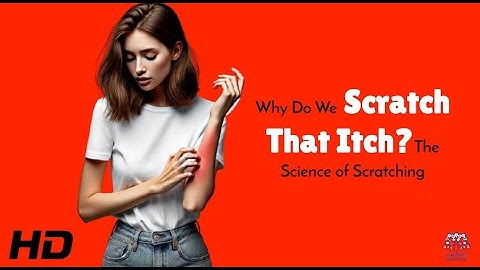 Why Scratching Feels So Good – The Weird Science Behind It