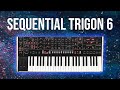 Lets make some dub techno  trigon 6
