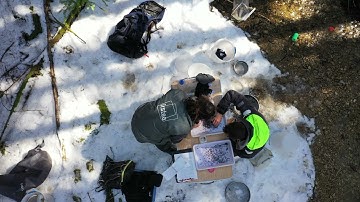 DRYvER WP2 - Macroinvertebrates sampling in the Albarine catchment (France) in 03/2021.