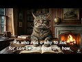 Friedrich Wilhelm Nietzsche x Cat