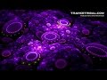 magical psychedelic chillout mix psychill psybient hd