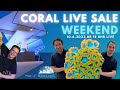 💦 Coral Live Sale Weekend 💦 Live aus dem White Corals Studio | Tag 2 | 💦