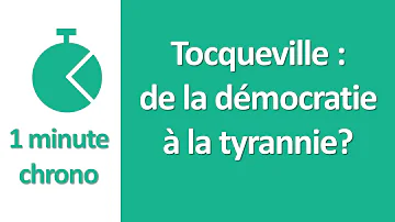 Quelle forme de tyrannie suscite Linquiétude de Tocqueville ?