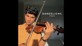 Joel Sunny - Dandelions Violin - 4 HOURS