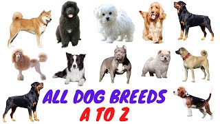 ALL LARGE AND SMALL DOG BREEDS  IN THE WORLD (A TO Z LIST)