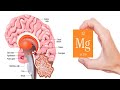 Things That Happen to Your Body When You Take Magnesium Every Day! | You&#39;ll Take It Daily Now!