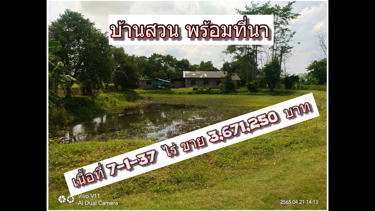 CR65084  บ้านสวนพร้อมที่นา 7-1-37 ไร่ ขาย 3,671,250 บาท  อ. เวียงชัย เชียงราย