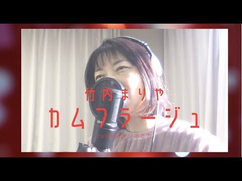 「カムフラージュ」 竹内まりや【歌ってみた】【歌詞付き】/ 「camouflage」Mariya Takeuchi - with Lyrics