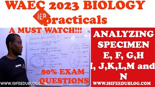 Biology 2023 WAEC/WASSCE practicals Specimen E,F,G,H,I,J,K,M,N ( section 2 ) | possible questions screenshot 2