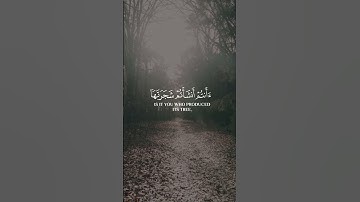 سورة الواقعة - الآية 71-74 | همسات الإيمان #whispersoffaithchannel #همسات_الإيمان #quran #قرآن