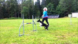 Agility Hoppteknik, 2012-07-20