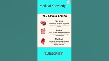 You have 3 Brains #brain #healthknowledge #shortviral