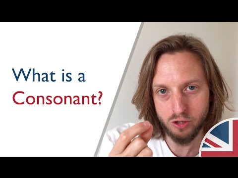 What is a consonant