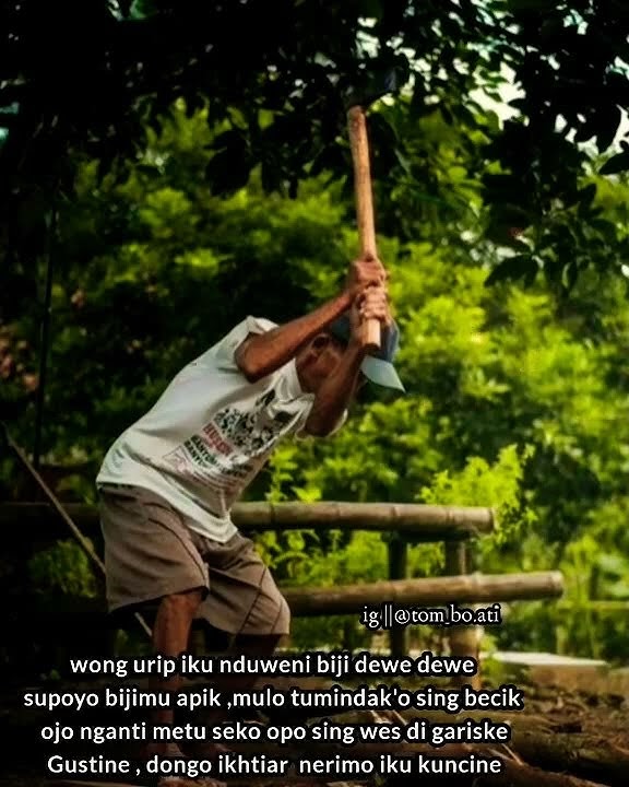STORY WA//OJO PODO NELONGSO JAMAN REKOSO