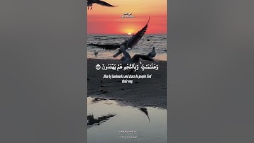 #قرآن #quran #مقطع_قران #shortvideo #تلاوة_خاشعة ‏#коран #اكسبلور #islam #تراويح_رمضان #ساعة_إجابة