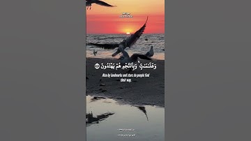 #قرآن #quran #مقطع_قران #shortvideo #تلاوة_خاشعة ‏#коран #اكسبلور #islam #تراويح_رمضان #ساعة_إجابة