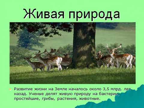 Эко-путешествие "Наш дом - планета Земля" (Харцызская центральная библиотека, Ин