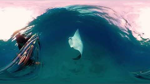 Alex & Al-Underwater with the Insta360 One X First Dive Video