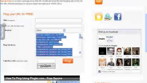 Pinging_Tips_For_WordPress.mp4