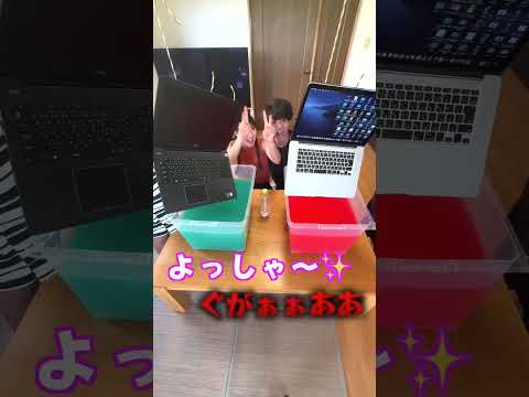 兄妹でパソコンを破壊するゲームしてみた