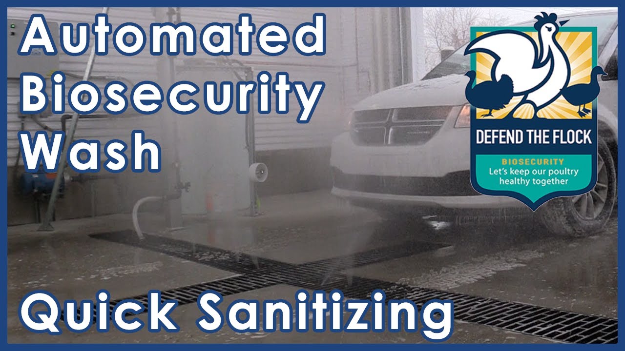 Quick Sanitizing Wash | Defend the Flock | Automated Biosecurity Wash System | Bird Flu