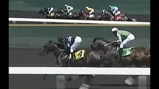 Shared Belief - 2014 Golden Gate Fields Allowance Race