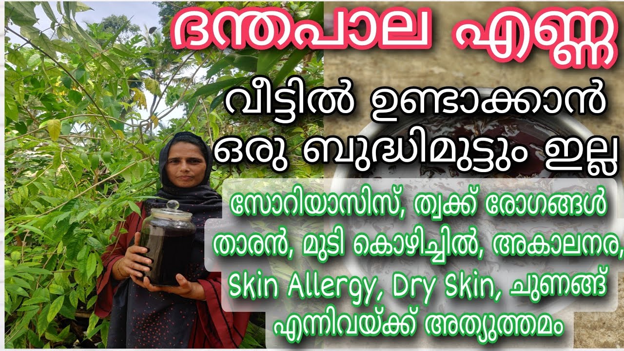 ദന്തപാല എണ്ണ വീട്ടിൽ ഉണ്ടാക്കാം | How to Make Home Made Danthapala Oil | Sulfath's Green Diary