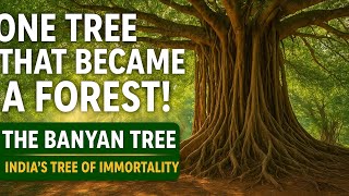 The Banyan Tree: India’s Tree of Immortality 🌳 | The Untold Plant Story