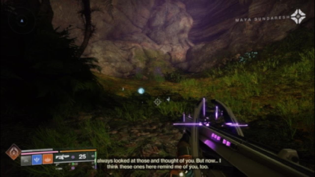 Anomalous Voices | Maya Sundaresh: "They're Here. And Alive. And That's a Miracle" | Echoes