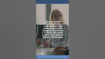 CEO Executive Leadership: Government Relations