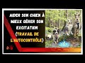 Tuto Aider Son Chien à Gérer Son Excitation Tuto Aider Son Chien à Gérer Son Excitation