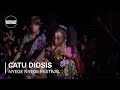 Catu diosis  nyege nyege festival day 1