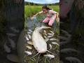 Survival Skills: SIMPLE and USEFUL with Fish trapping tool #survival #bushcraft #papa #fishing
