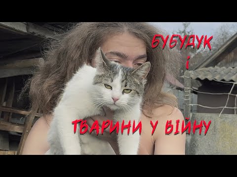 Бубудук і трішки тупа кицька