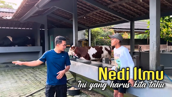 #1 MAS IYUN nedi ilmu di BERKAH SETIA FARM.