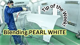 Pearl white Paint - BMW X6 Fender Paint A96 Mineral White Ppg Paint