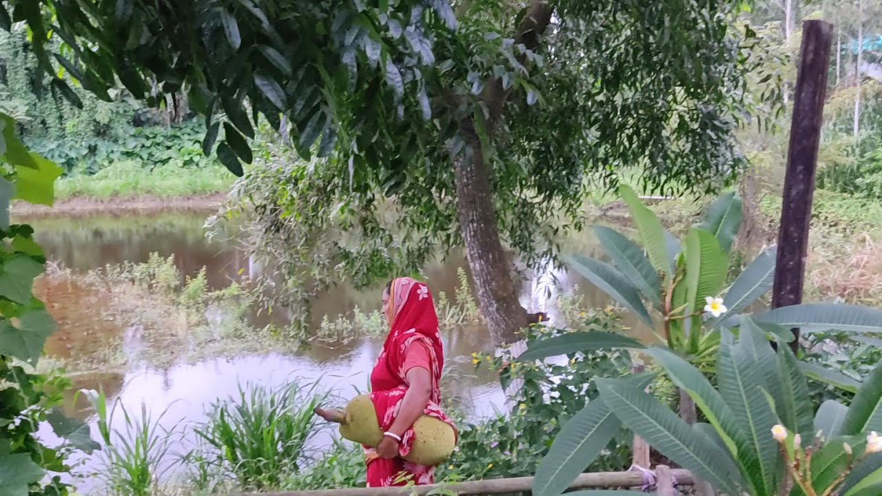 পুজার মা কাঁঠাল বিক্রি করতে বাজারে যায় 😍shadow of village