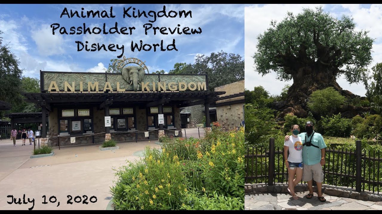 Animal Kingdom Passholder Preview - Disney Reopening 2020 - YouTube