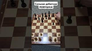 Сильная дебютная ЛОВУШКА! Гарантированная победа. Шахматы ловушки