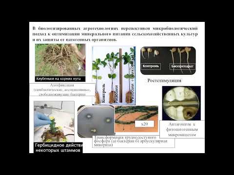 ОРГАНИЧЕСКОЕ ЗЕМЛЕДЕЛИЕ: ИННОВАЦИОННЫЕ ТЕХНОЛОГИИ И ПЕРСПЕКТИВЫ