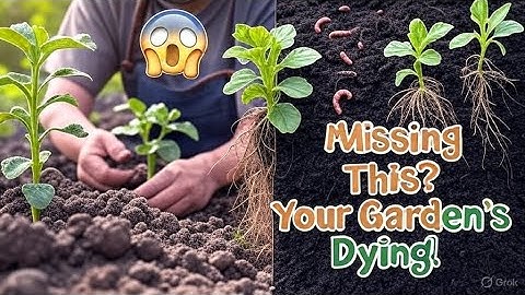 Why Your Garden Is Failing: The One Ingredient Missing From Your Soil!