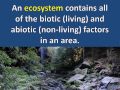 Life Forms and Their Interactions in Ecosystems