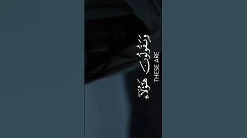 أرح سمعك القارئ: عبدالرحمن مسعد🤍. #اجر_لي_ولك #اكسبلور #القرآن_الكريم #ايات_القرآن_الكريم #short