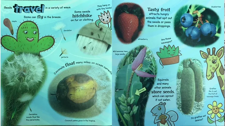 Amazing Plant Powers Book