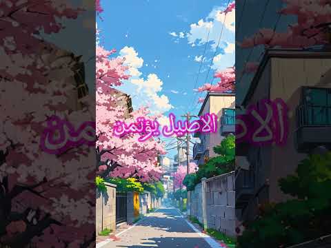 ماهو الفرق بين الاصيل وقليل الاصل حالات واتس اقتباسات حكمة اليوم