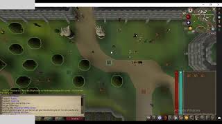 OSRS Multi login ahk bot script showcase