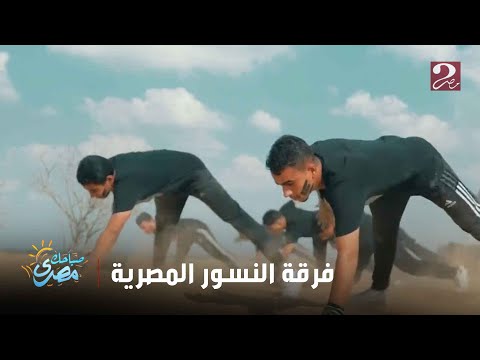 صباحك مصري النسور المصرية فريق متخصص في تعزيز الانتماء