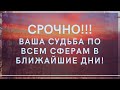 🌞ВАША СУДЬБА ПО ВСЕМ СФЕРАМ ЖИЗНИ В БЛИЖАЙШЕЕ ВРЕМЯ💥 ОБУЧАЮ ТАРО И ЛЕНОРМАН🌈